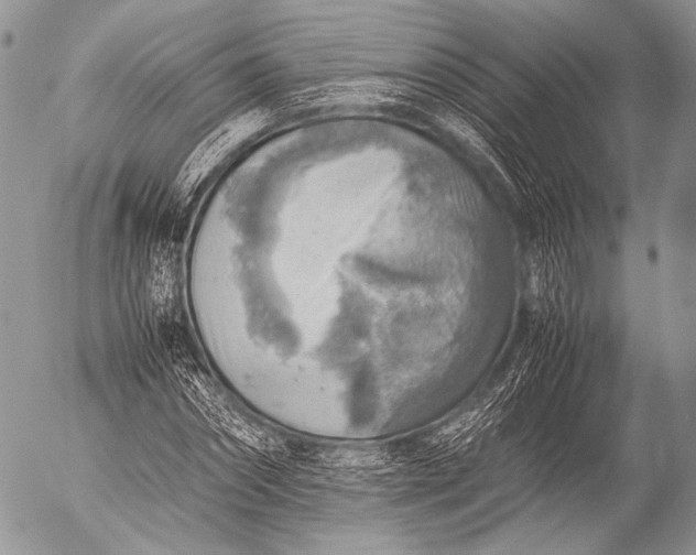 X0000053050874200507251420