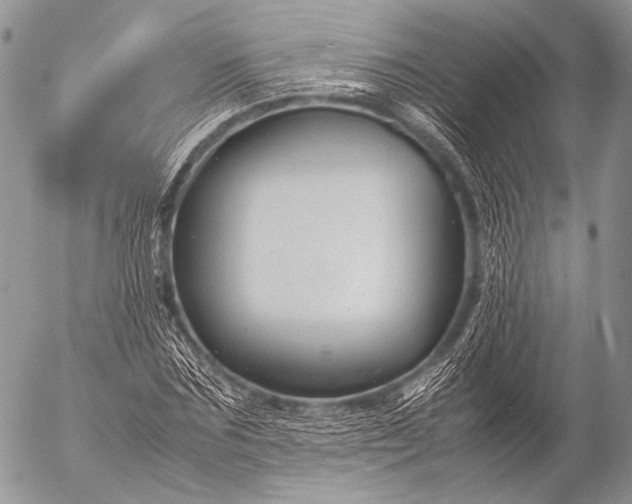 X0000053050875200507251420