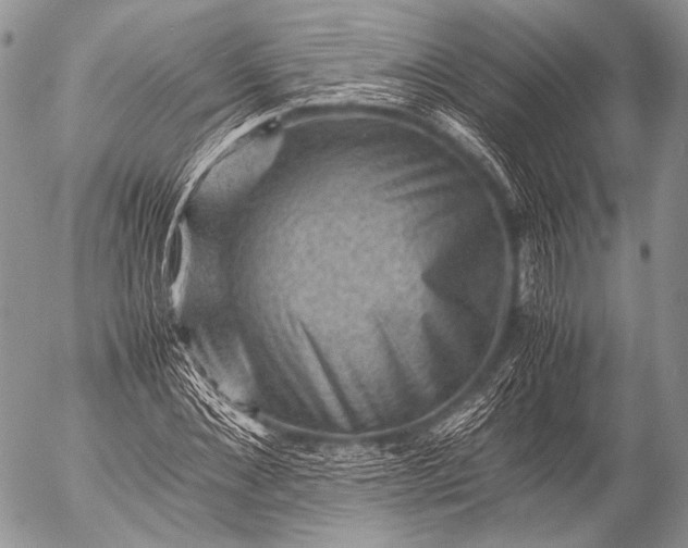 X0000053050876200507251420