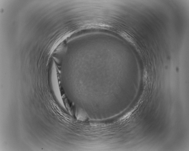 X0000053050877200507251420