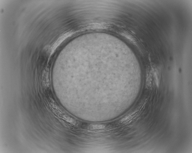 X0000053050878200507251420