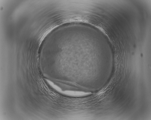 X0000053050879200507251420