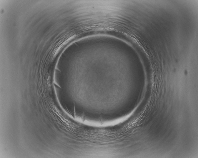 X0000053050881200507251420