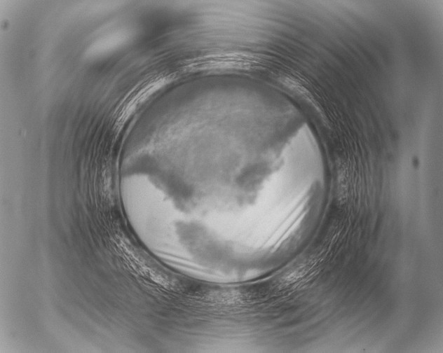 X0000053050882200507251420