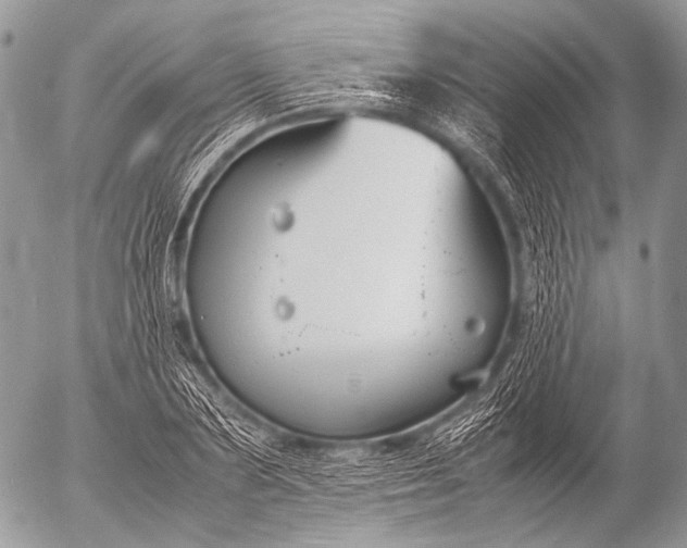 X0000053050883200507251420