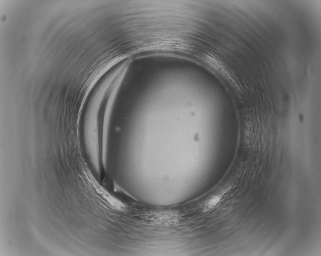 X0000053050884200507251420