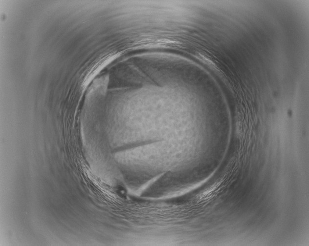 X0000053050885200507251420