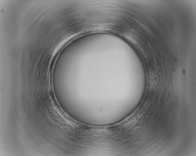 X0000053050886200507251420