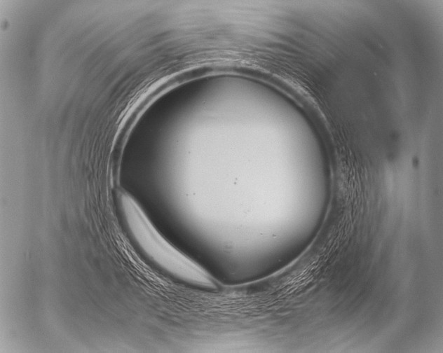 X0000053050887200507251420