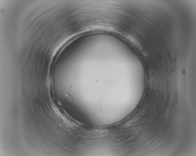 X0000053050888200507251420