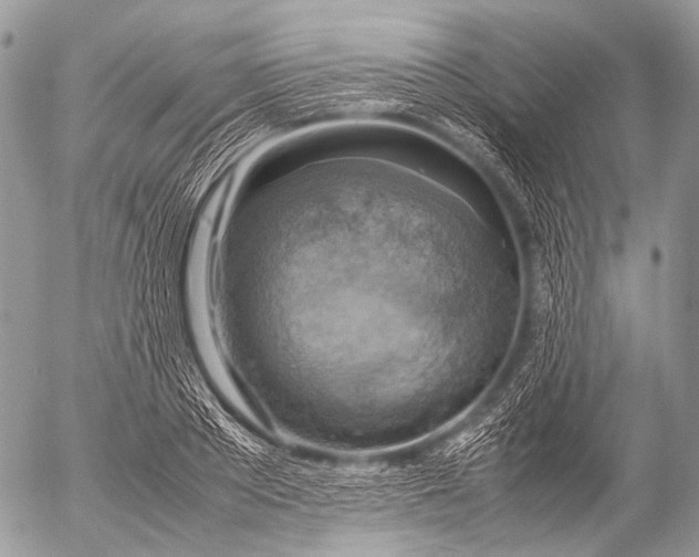 X0000053050889200507251420