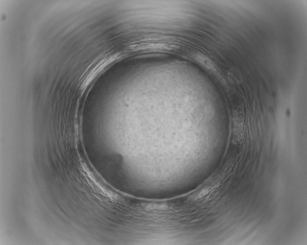 X0000053050890200507251420