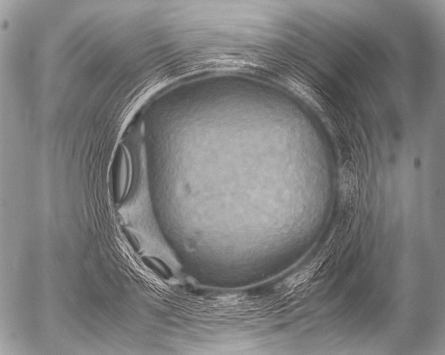 X0000053050891200507251420