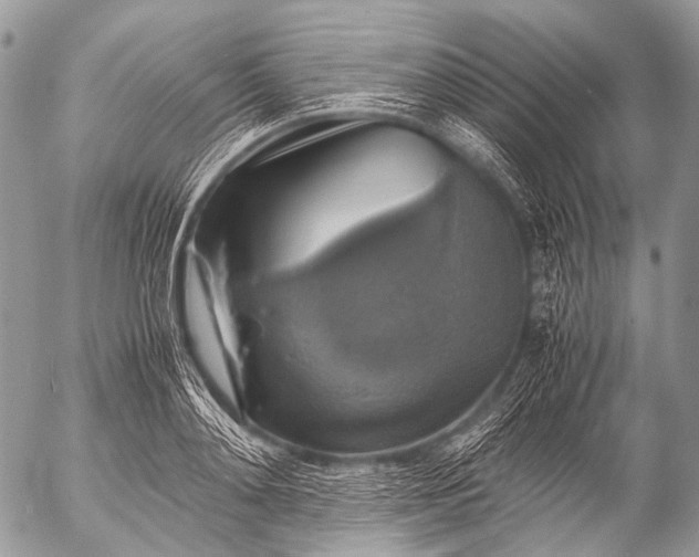 X0000053050892200507251420