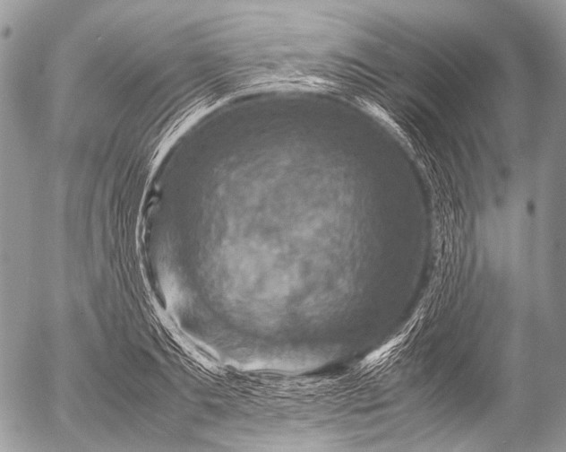 X0000053050893200507251420