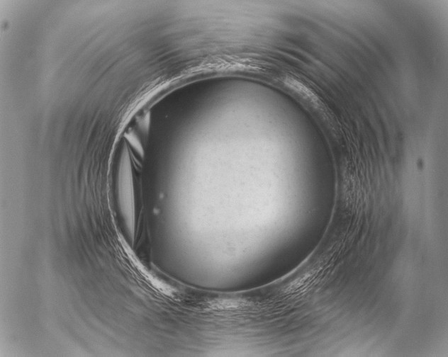 X0000053050894200507251420