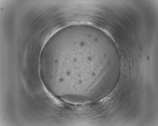 X0000053050895200507251420