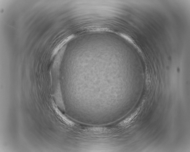 X0000053050897200507251420