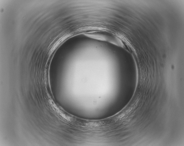 X0000053050898200507251420