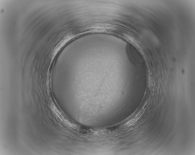 X0000053050899200507251420