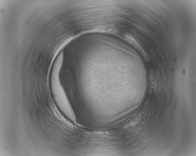 X0000053050900200507251420