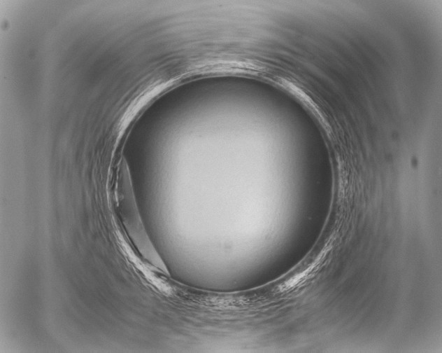 X0000053050901200507251420