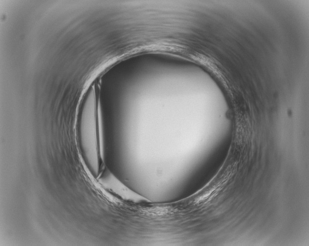 X0000053050902200507251420