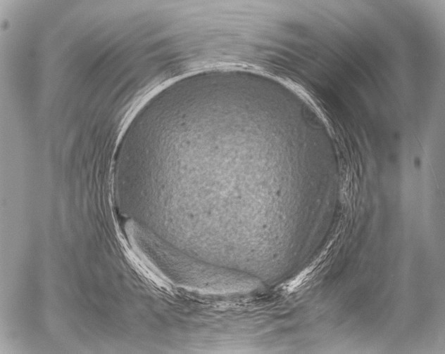 X0000053050903200507251420