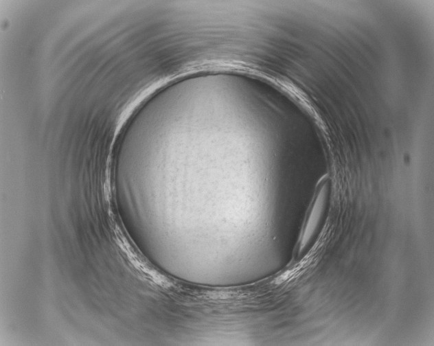 X0000053050904200507251420