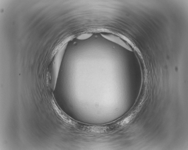 X0000053050905200507251420