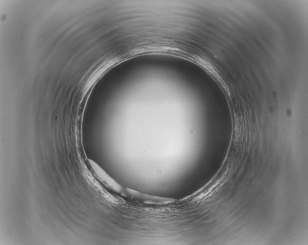 X0000053050906200507251420