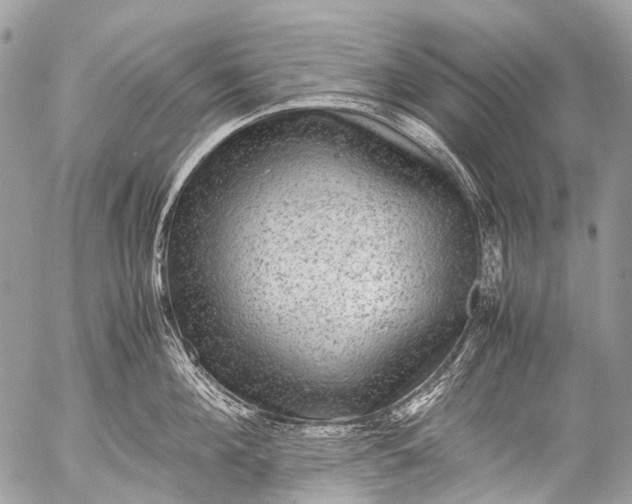 X0000053050908200507251420