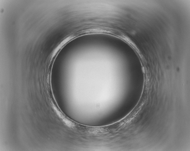 X0000053050909200507251420