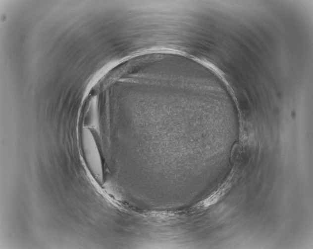 X0000053050910200507251420