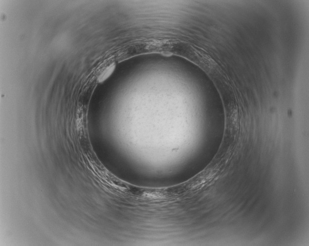 X0000053050914200507251419