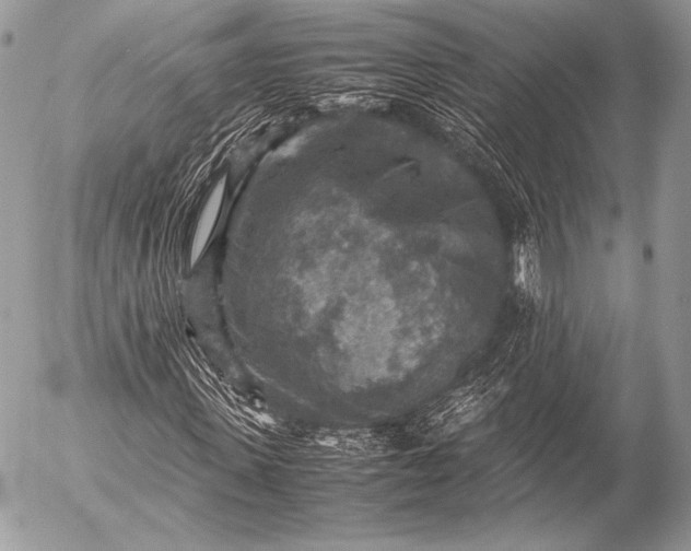 X0000053050915200507251419