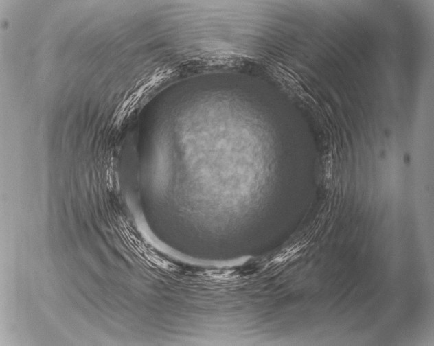 X0000053050916200507251419