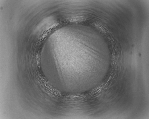 X0000053050917200507251419