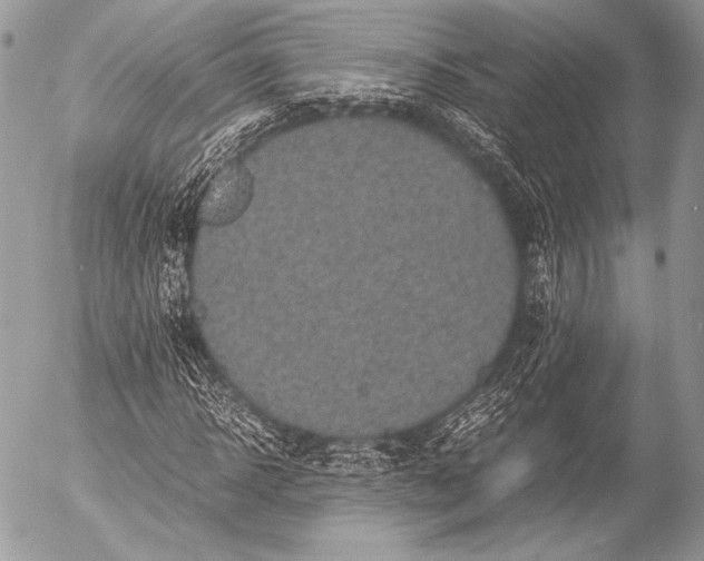 X0000053050918200507251419