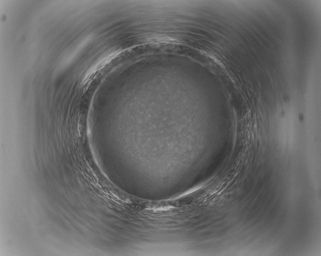 X0000053050919200507251419