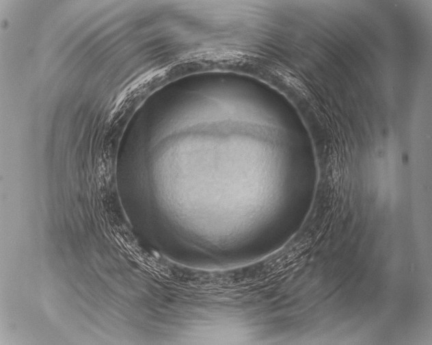 X0000053050920200507251419