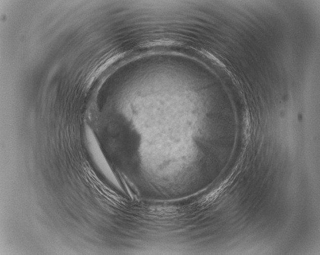 X0000053050921200507251419