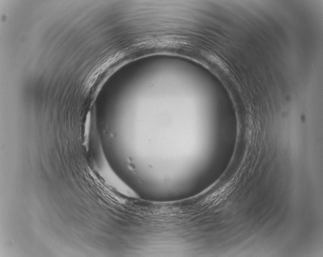 X0000053050922200507251419