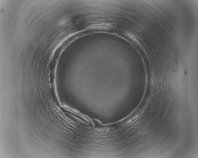 X0000053050923200507251419