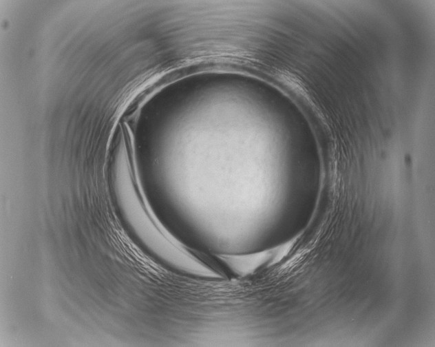 X0000053050924200507251419