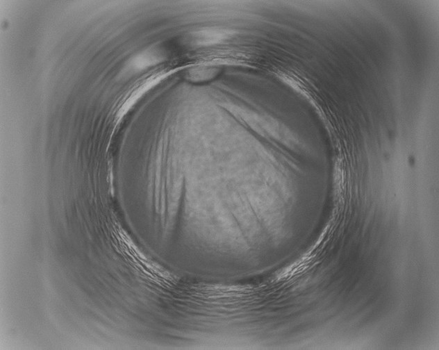 X0000053050925200507251419