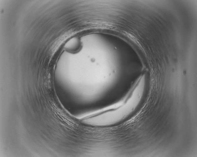 X0000053050926200507251419