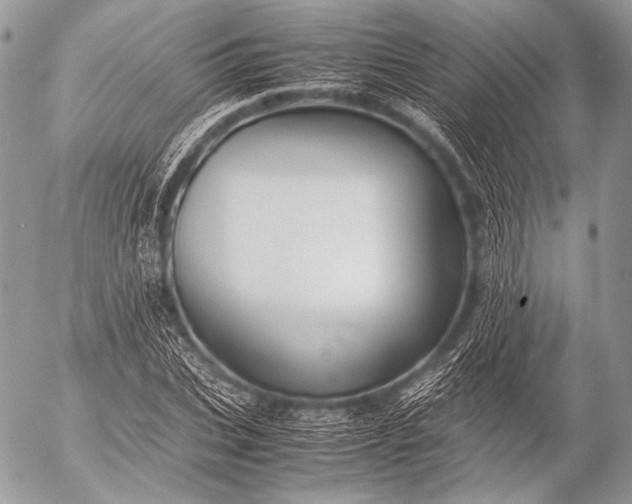 X0000053050927200507251419