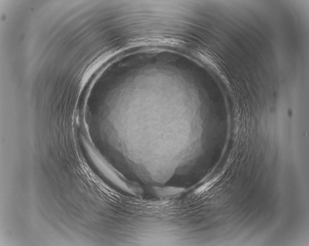 X0000053050928200507251419