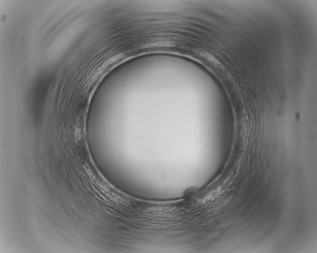 X0000053050929200507251419